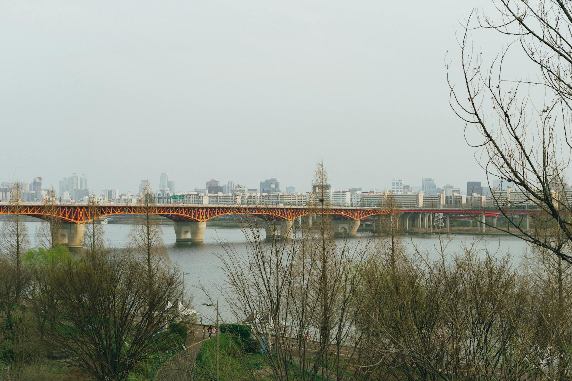 Seoul skyline with Namsan Tower