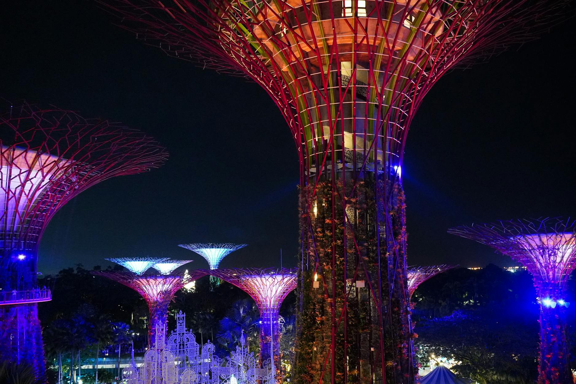 Supertree Grove at Gardens by the Bay